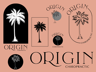 Origin Chiropractic Concepts brand design brand identity branding chiropractic concepts design flat icon illustration logo logodesign palm tree typography vector