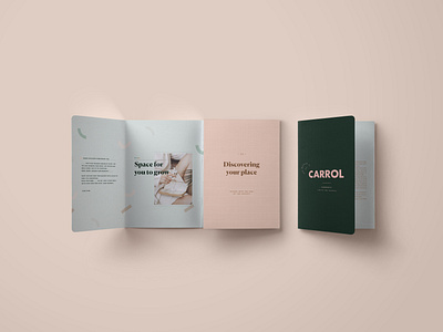 Carrol Brochure