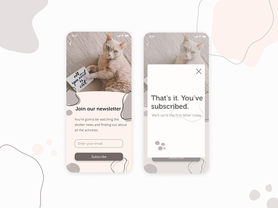 Cat Shelter App cat daily ui design kitten minimal mobile subscribe ui