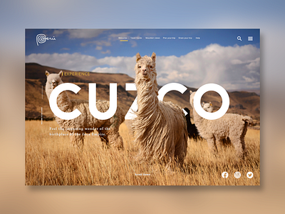 Cuzco Landing Page graphic graphicdesign landing page design landing page ui landingpage travel travel page travelpage ui uidesign uxui web design webpagedesign