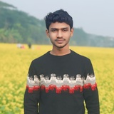Md Hasanat