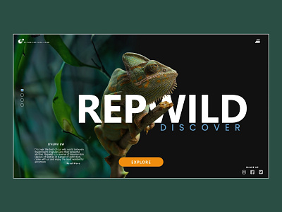 Reptile adobe xd design discover diseño reptiles ui uidesign uxdesign uxui web web design website website design wild