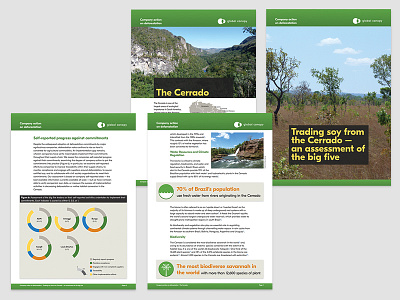 Global Canopy reports and briefing documents graphic design infographics information design