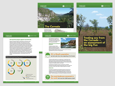 Global Canopy reports and briefing documents