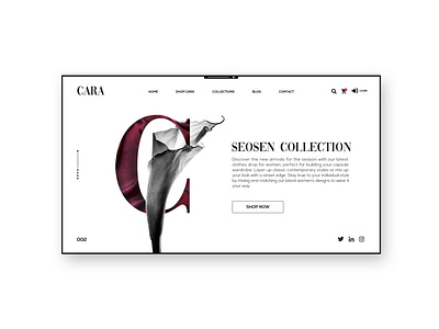 Cara boutique web design