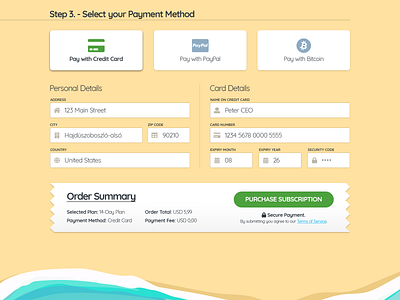 VPN Site Payment Form - Part 2 checkout credit card form flat order summary payment form payment method plans signup form ui ux vpn web design