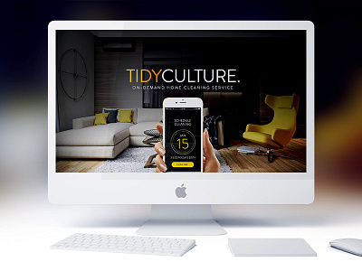 Tidy Culture cleaning landing onepage product page theme