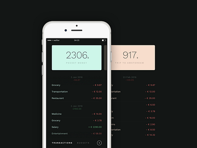 wallter — Transactions app budget creamy finance grotesque ios mobile track transaction wallet