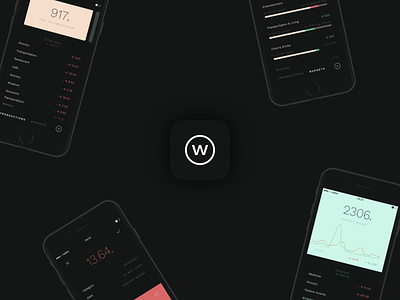 wallter — case study app assistant balance dark expense finance mobile money projects track ui wallter