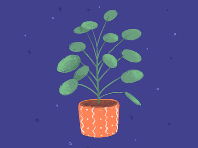 Pilea art design illustration jungle plant vegetal
