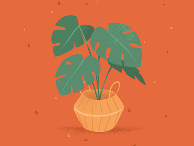 Monstera art design drawing graphic design green home illust illustration jungle monstera plant