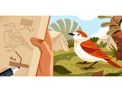 What is Creative Nonfiction? bird editorial editorial illustration illustration landscape writing