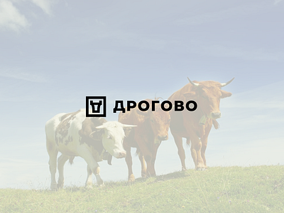 ДРОГОВО bull farm livestock logo