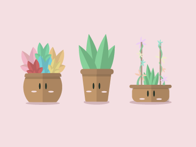 Plants