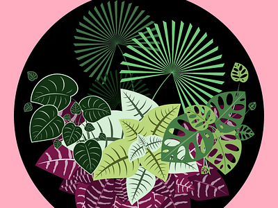 Plant Composition composition design graphic illustration illustrator plants tropical leaves