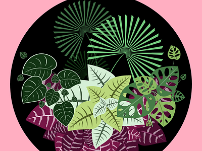 Plant Composition