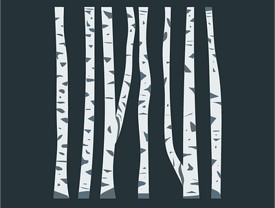Birch birch drawing graphic illustration illustrator plants tree vector