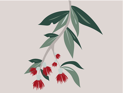 Eucalyptus drawing eucalyptus graphic illustration illustrator plants vector
