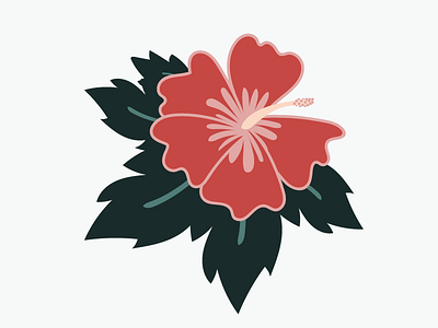 Hibiscus design drawing flower graphic hibiscus illustration illustrator plant plants vector
