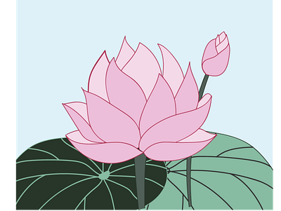 Lotus design drawing flower flowers graphic illustration illustrator lotus lotus flower plant plants vector