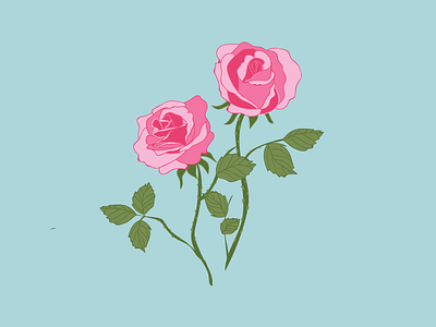 Rose design drawing flower flower illustration flowers graphic illustration illustrator plant plant illustration plants rose roses vector