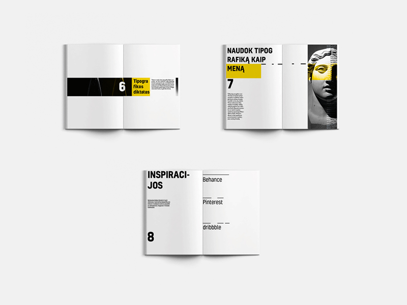 Zine by Mindaugas Žitkus on Dribbble