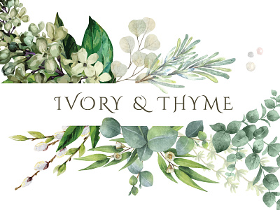 Ivory & Thyme business card branding business business card cards logo
