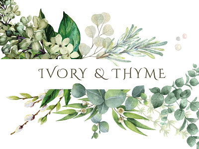 Ivory & Thyme business card