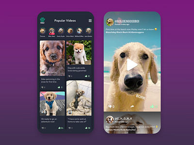 Social Network for Pets animal app app design design dog dogs love pets social social app social network socialmedia ui uiux uxui video