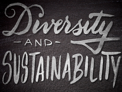 Diversity and Sustainability lettering script sketch