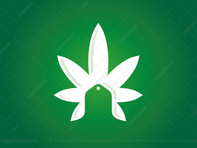Cannabis Coupon Sale Logo cannabidiol cannabis cbd coupon discount grower hangtag hemp leaf logo logo for sale marijuana medical medicine pharmacy price tag promotion sale webshop weed