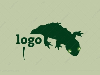 Gecko Lizard (for sale)