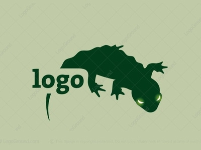 Gecko Lizard (for sale) adventure amphibia animal arthropod chameleon devil dragon gecko gila monster iguana komodo dragon lizard mascot outdoor pet reptile skink sport travel agency zoo