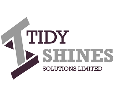 Tidy Shines Logo logo