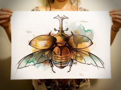 Coleoptera beetle colors illustration ink paper print