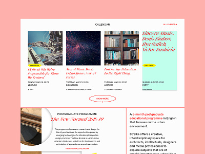 Strelka Site Redesign Concept