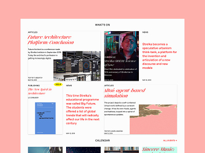 Strelka Site Redesign Concept