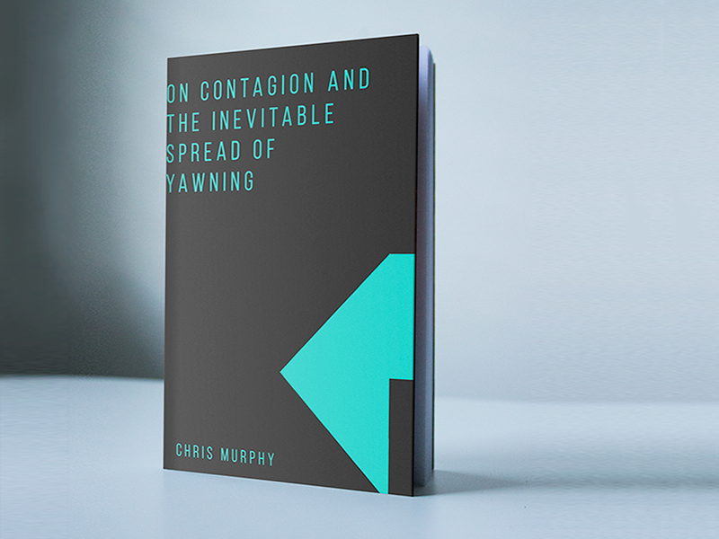 Book Cover Shot Two interaction design graphic design book design book cover corporate identity minimalist graphic
