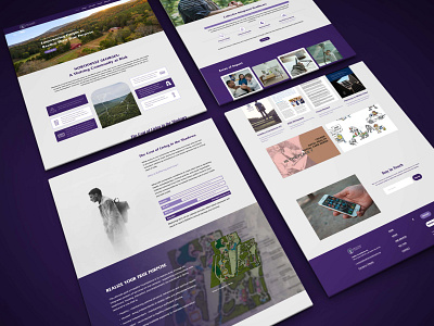 Healthy Foundations Web Build layout non profit squarespace web design wireframe