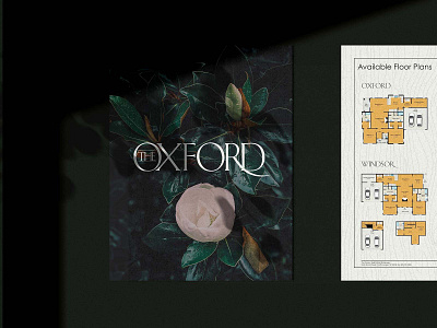 The Oxford Branding Project