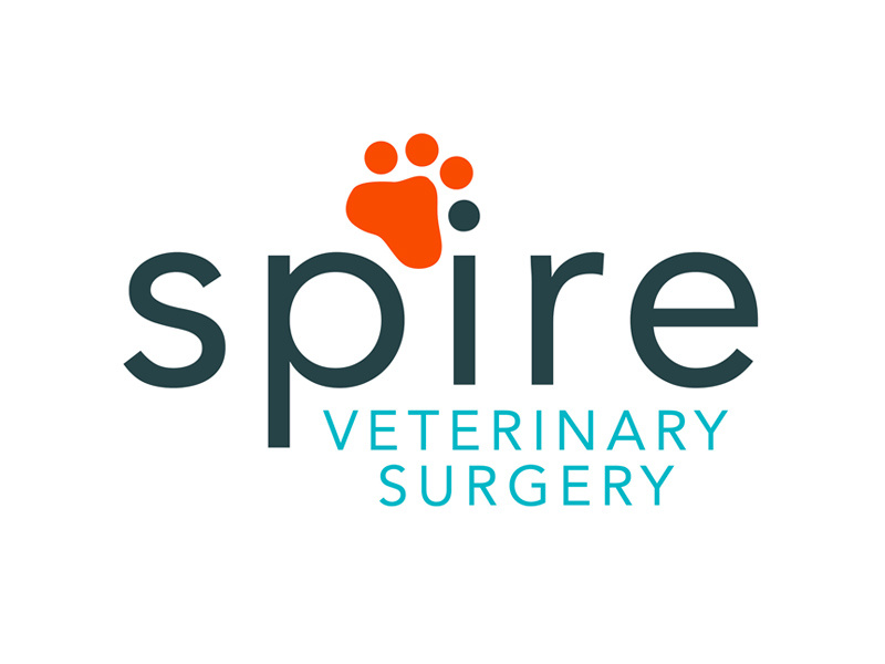 Spire Logo veterinarian veterinary mobile vet branding brand logo