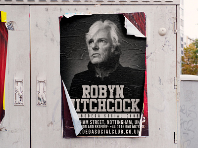 Robyn Hitchcock aleksei nord cover design designer dweet design flyer graphic design poster poster design united kingdom