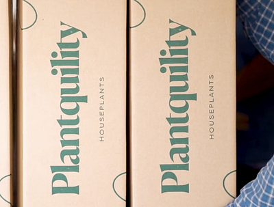 Houseplant Company Shipper Boxes branding green kraft logo packaging ship shipment shipper simple