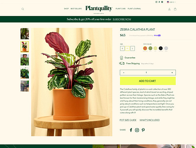 Houseplant Brand Product Page for Website banner cta design green house houseplant natural plant plants product ui uiux ux webdesign website