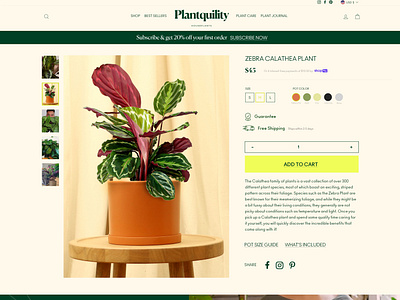 Houseplant Brand Product Page for Website