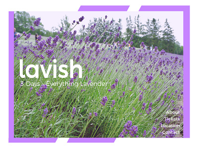 Lavender Festival Landing Page #dailyUI003 daily challenge dailyui dailyui003 landing page lavender purple website