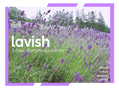 Lavender Festival Landing Page #dailyUI003