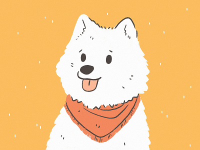 Samoyed