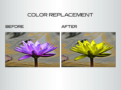 Color Replacement image editing manipulation photoshop