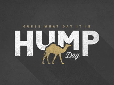 Hump Day camel design geico humpday illustration justforfun longshadow texture